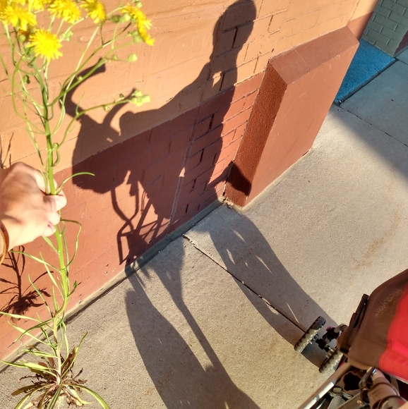 Meet your Posher, Krista - Picture 3 of 3